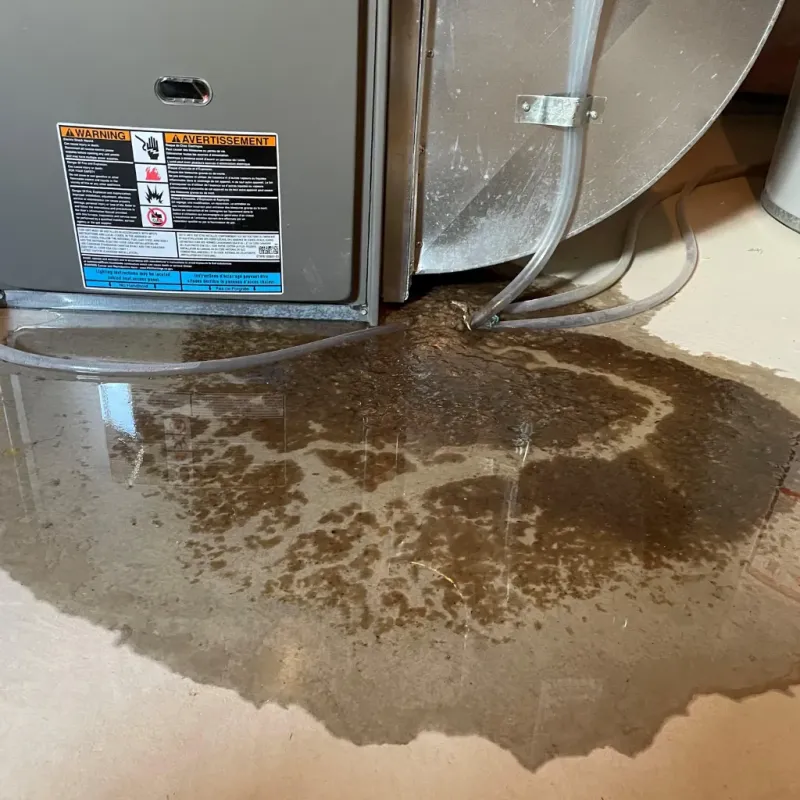 Appliance Leak Cleanup in Kingman, AZ